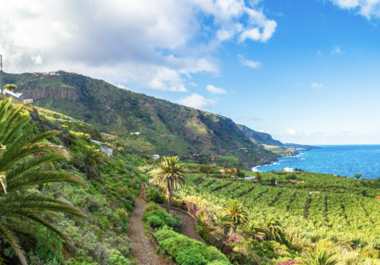 Tenerife