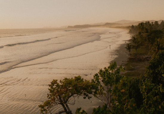 aerial beach view